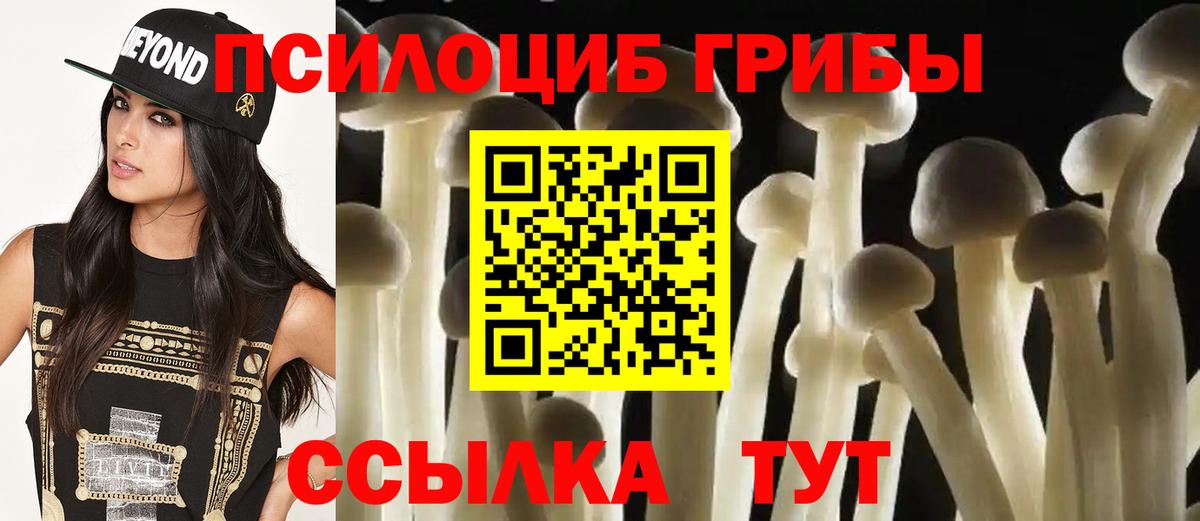 Коряжма  Псилоцибиновые грибы Cubensis  Вход с VPN  Галлюциногенные грибы Psilocybe 