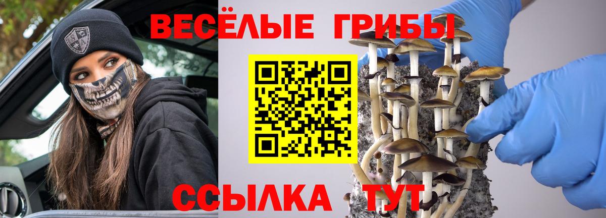 Галлюциногенные грибы GOLDEN TEACHER Коряжма